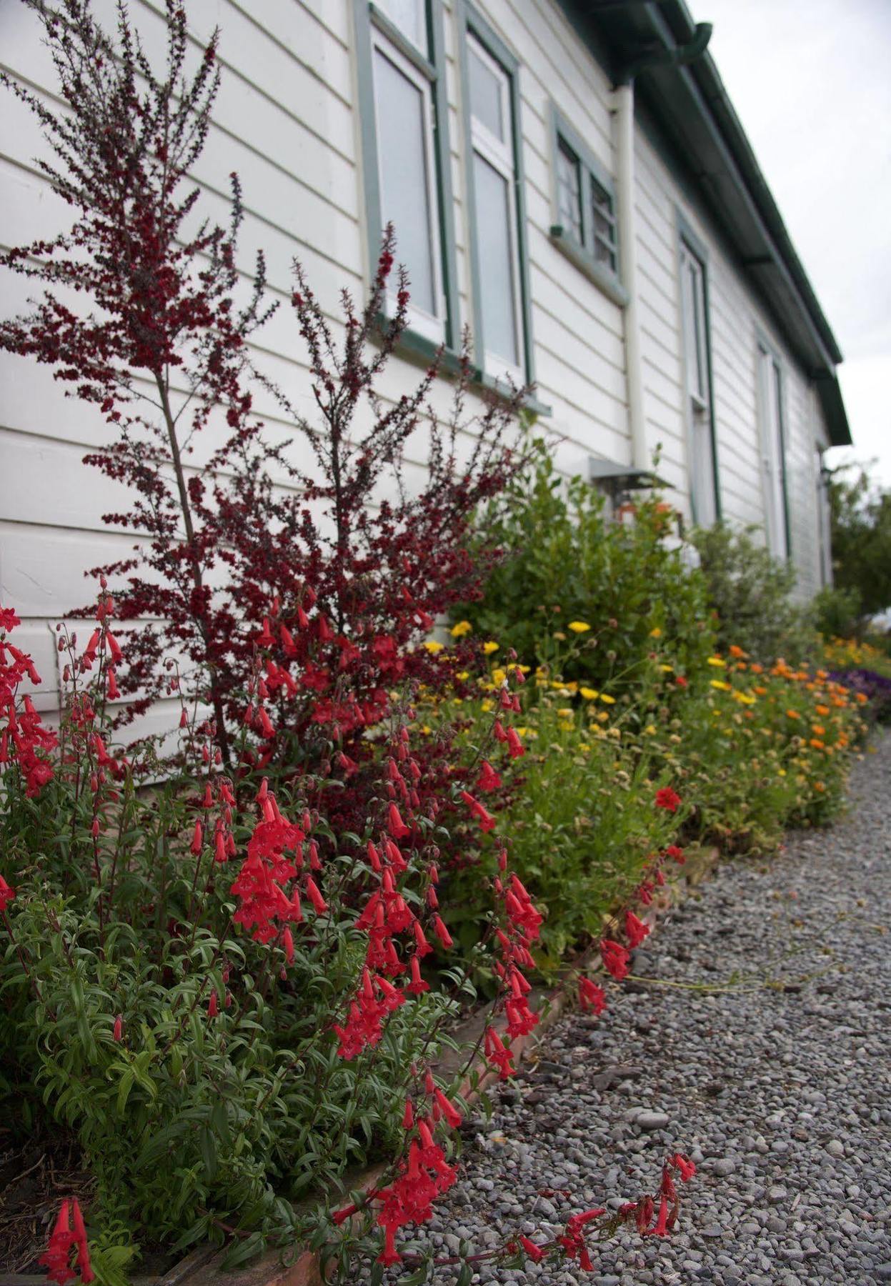Pinedale Lodge & Apartment Methven Exterior photo