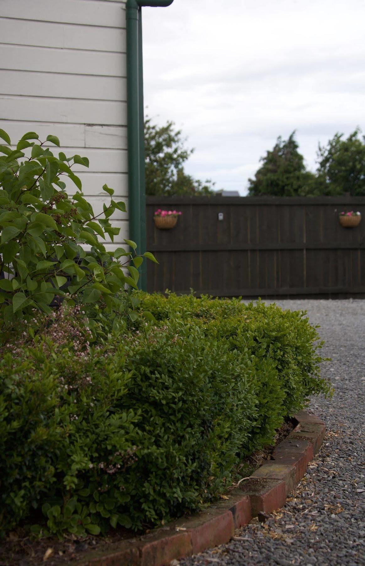 Pinedale Lodge & Apartment Methven Exterior photo